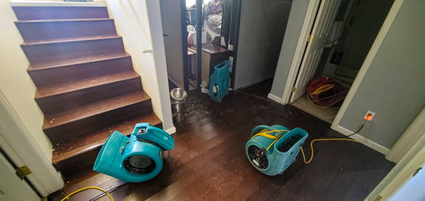 Best Commercial water damage restoration  in Wellford, SC