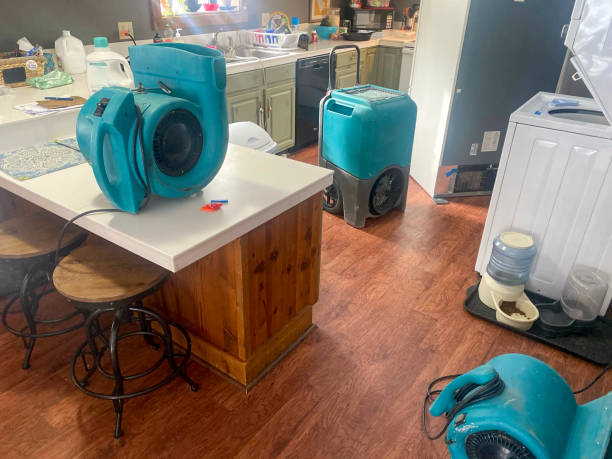 Best Water damage restoration near me  in Wellford, SC