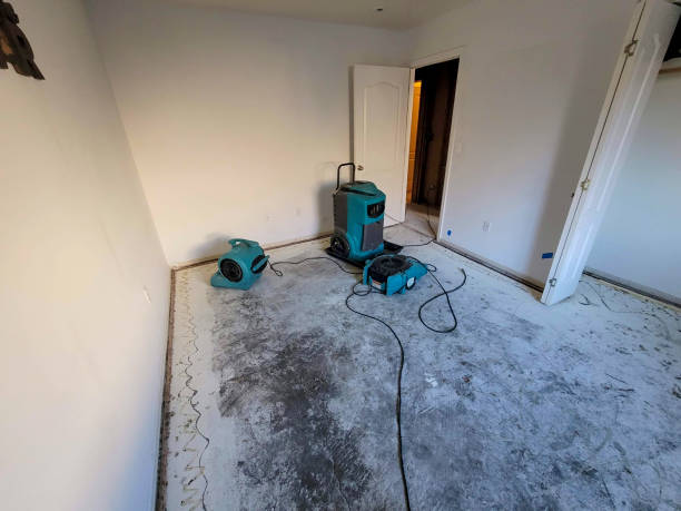  Wellford, SC Water damage restoration Pros