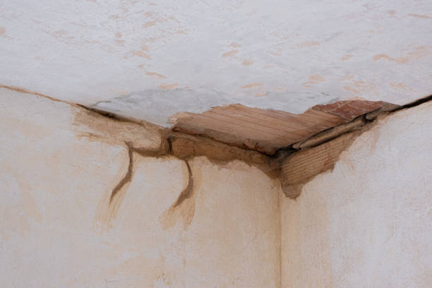 Best Water damage contractors near me  in Wellford, SC