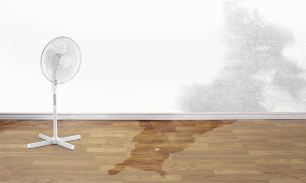 Best Flood restoration services  in Wellford, SC