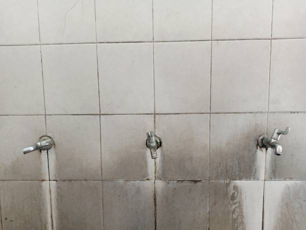 Best Water damage cleanup near me  in Wellford, SC