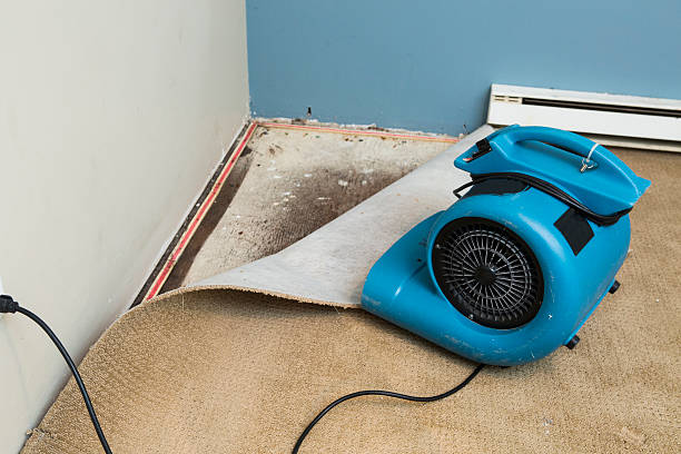 Best 24/7 water damage repair  in Wellford, SC